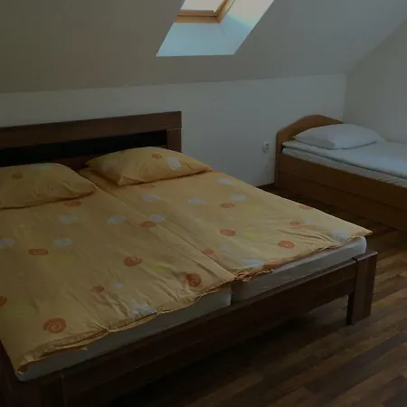 Suzana Jan - Apartma Apartman Jesenice