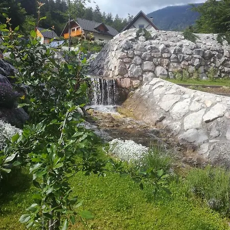 Suzana Jan - Apartma * Jesenice